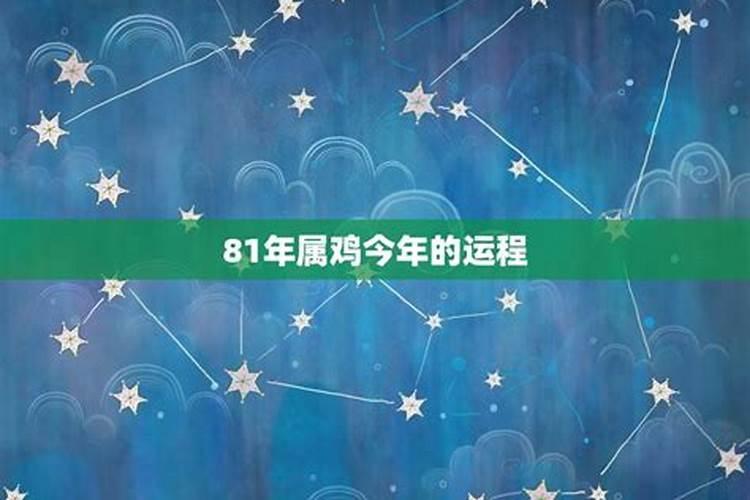 属鼠2024年运势及运程万年历