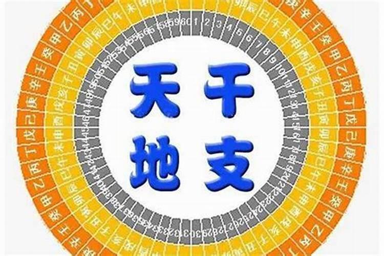 八字哪些天干和地支合财