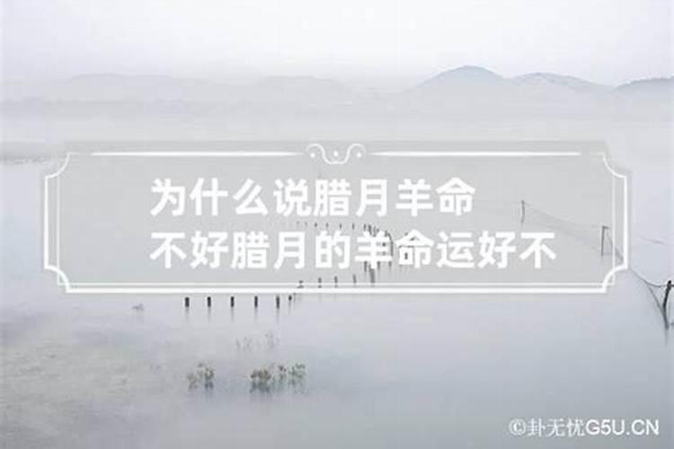 杨丽年农历腊月