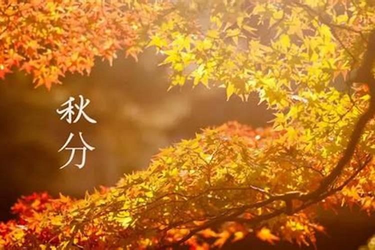 今年的秋分节是几月几日