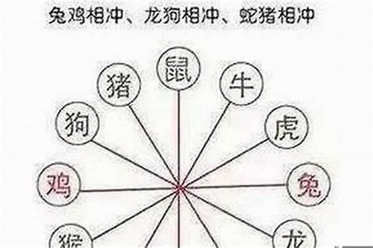 狗与什么生肖最配与什么相冲