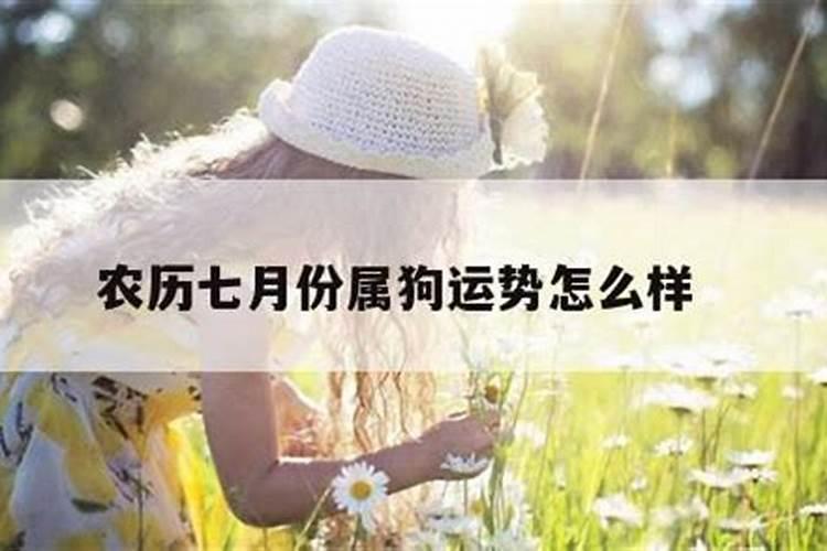 属狗7月份运程怎样