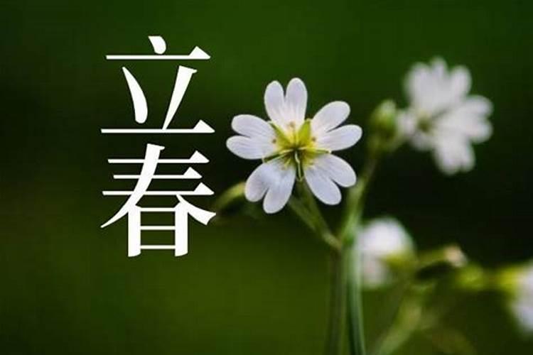 明天几时立春交节