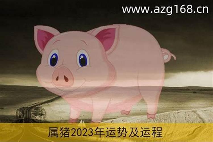 八三年的猪2023年运势怎么样呢