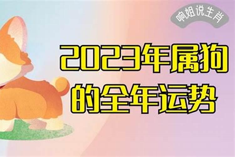 属狗2023年运势及运程1982年