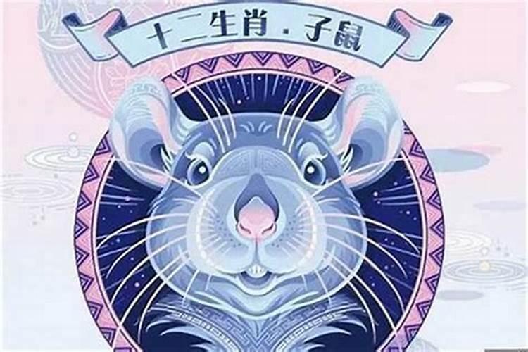 属猪的在鼠年2023年的运程