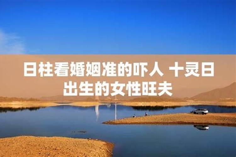 什么生肖可以抵消生肖猪犯太岁呢