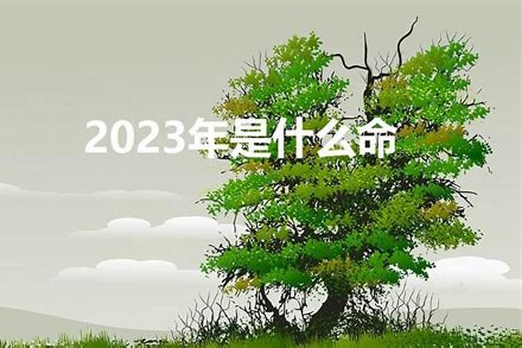 2023年是属什么五行是什么