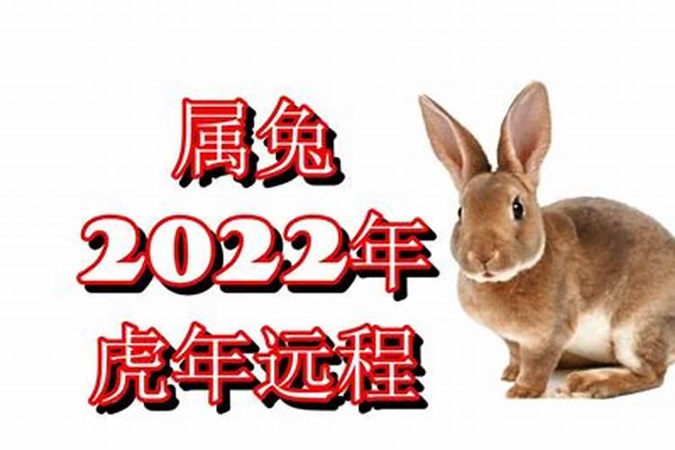 2022年虎年属兔