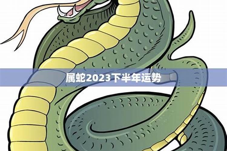 2023年属蛇的下半年运势怎么样