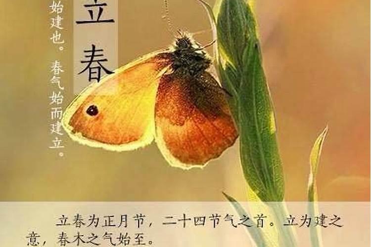 立春时有什么变化和变化