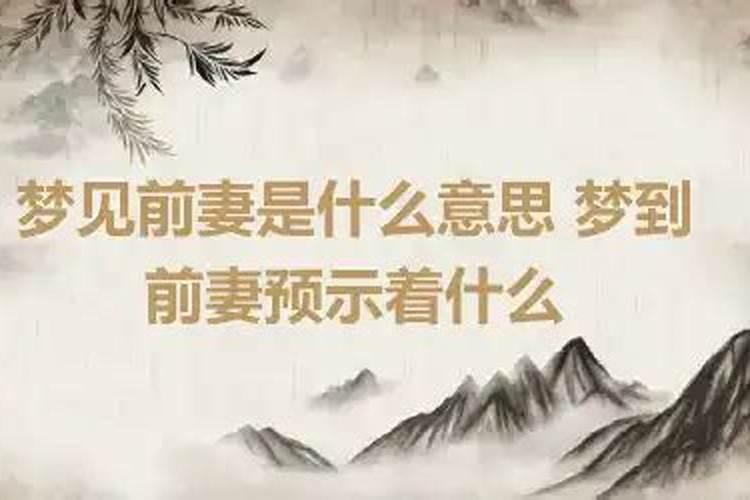 梦到前妻预示什么意思