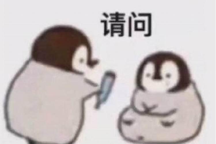 梦见女朋友不回我消息