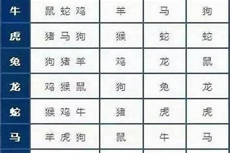 49岁的人今年属什么的