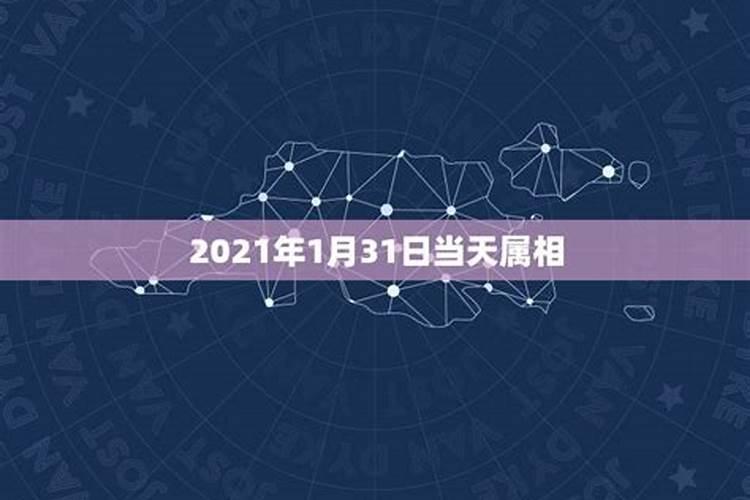 属相兔2021幸运色