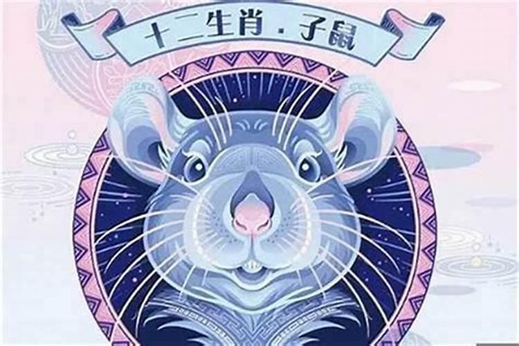 七二年属老鼠的2020年运气