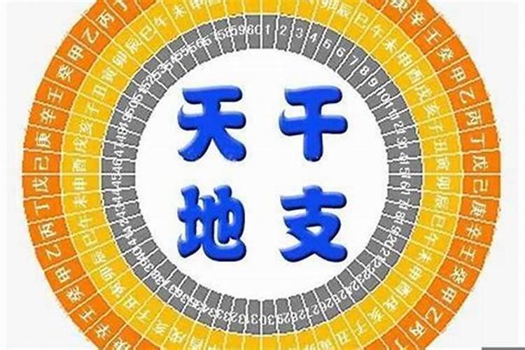 八字地支相克是不是不好