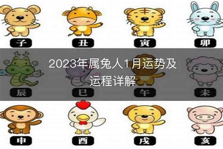 2023年9月属兔人运程如何