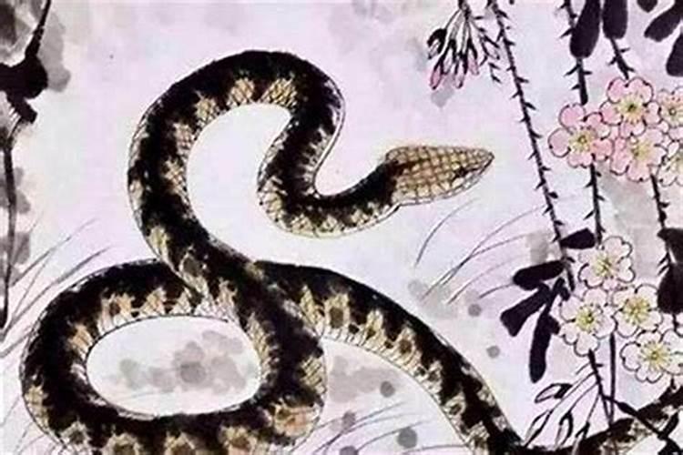 77年正月的蛇是什么命,五行属性