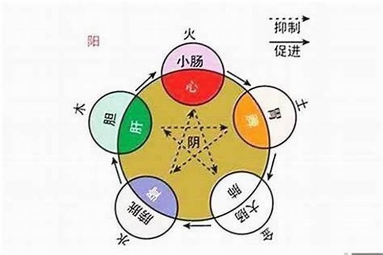 子时生人八字算命怎么断