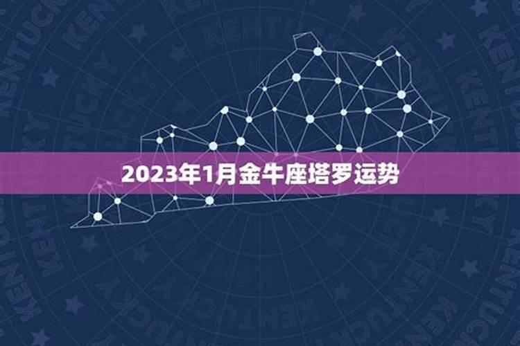 塔罗牌2023年运势查询