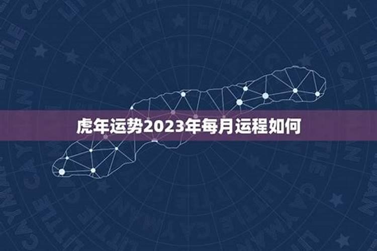 2023年每个月出生的命运