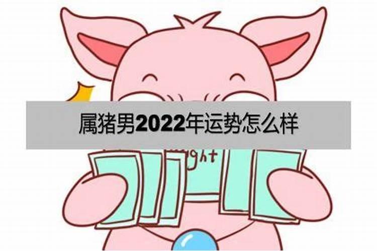 95属猪2022年全年运势详解