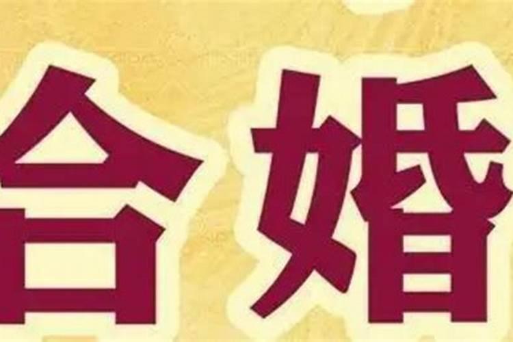 怎么能化解小人纠缠你