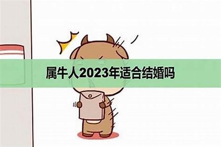 深圳市民中心灯光秀时间2021国庆