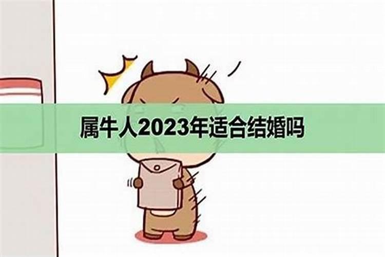 属虎2022年婚姻运