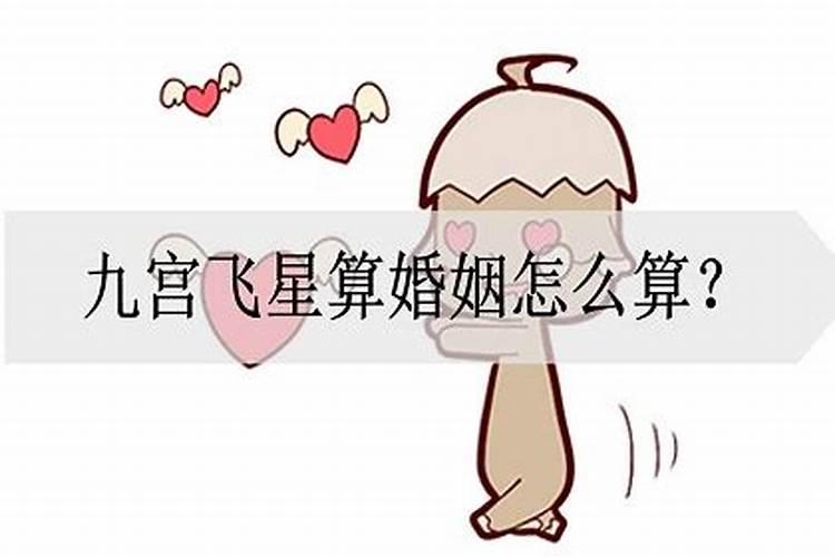 狗与兔相配婚姻幸福吗