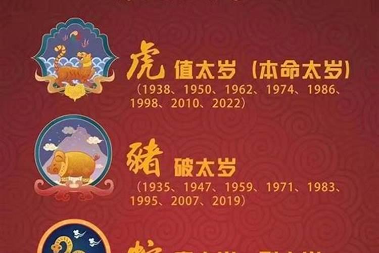 属鼠的今年运程怎么样