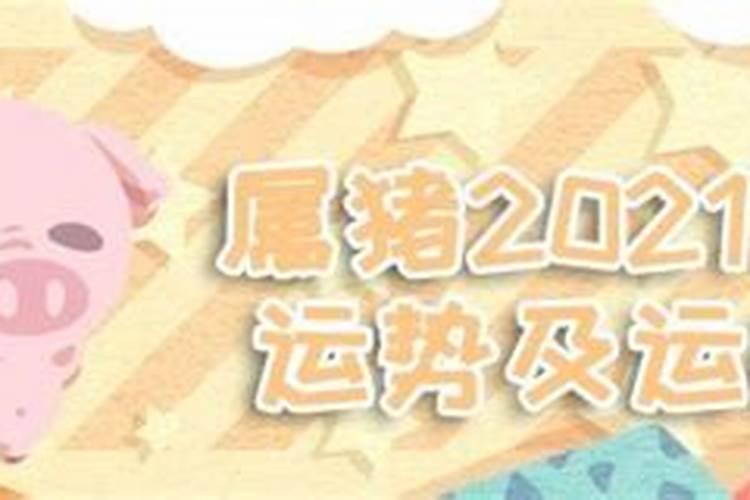 属猪2021年农历8月运程