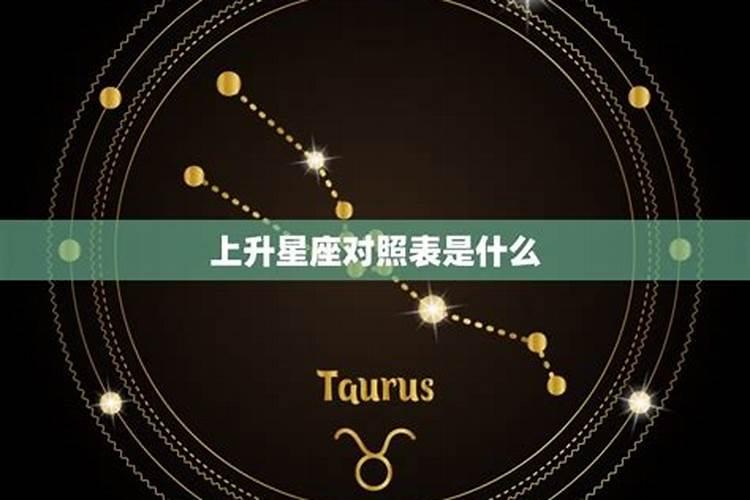 11月17号属什么星座