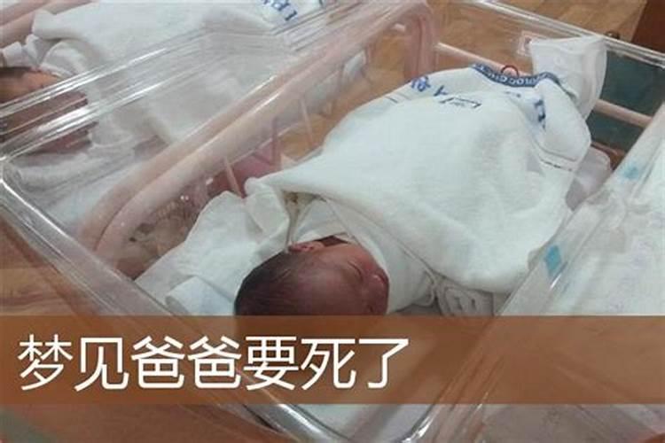 梦见我爸说我妈死了