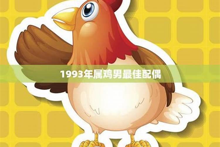 1993年属鸡一生财运