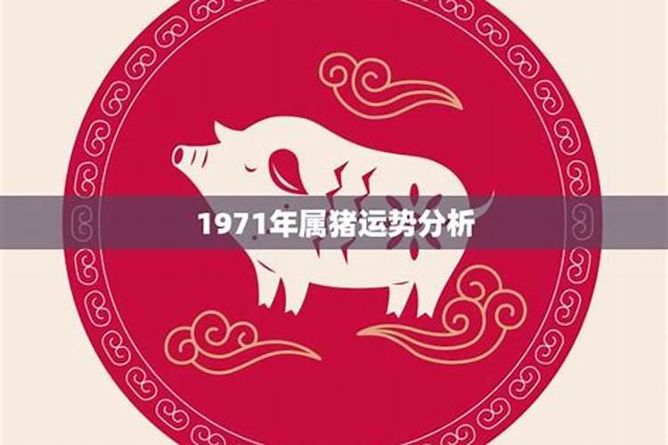 1971年属猪2023的运程如何