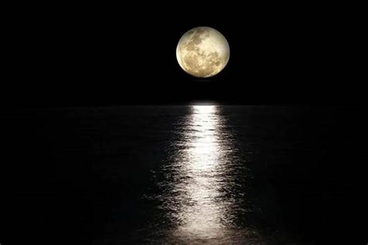 梦见特别大的月亮