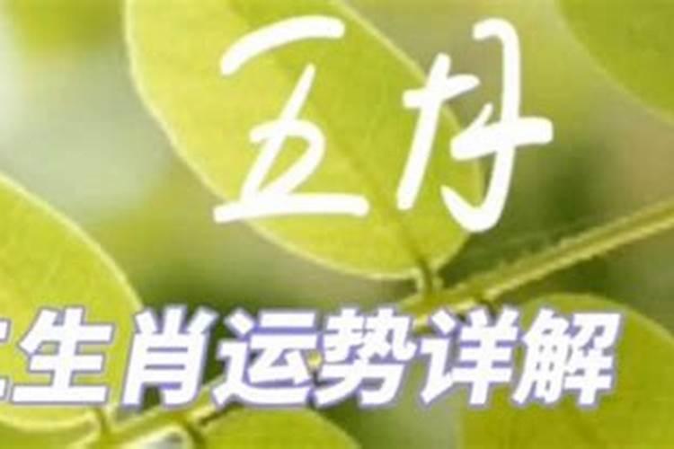 五月十二生肖运势排名