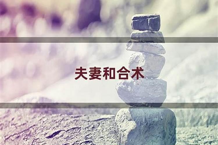 狗今年犯太岁吗2022年8月运势怎样呢