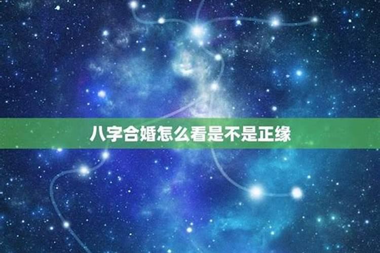 八字合婚中什么是子星位