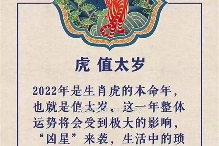 2022年犯太岁最凶的生肖