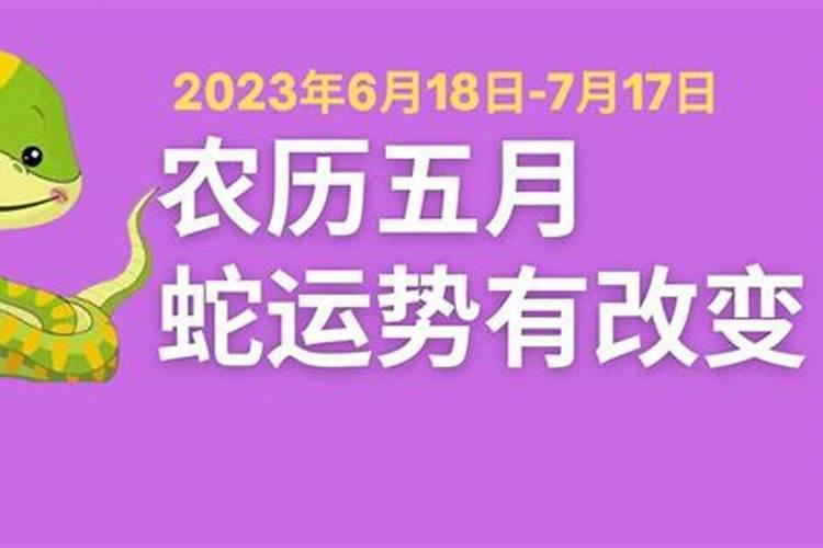 生肖蛇2021年农历5月运势