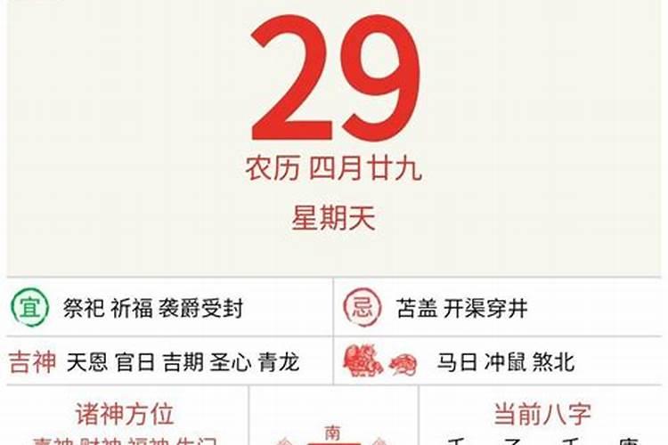 属兔的财运怎么样2023