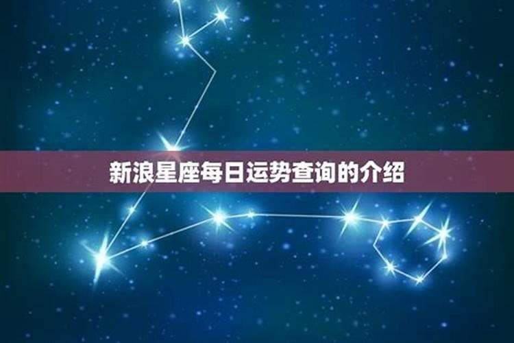 星座运势每日运势新浪网