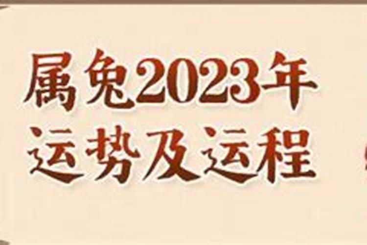 1963年的兔2023年运势