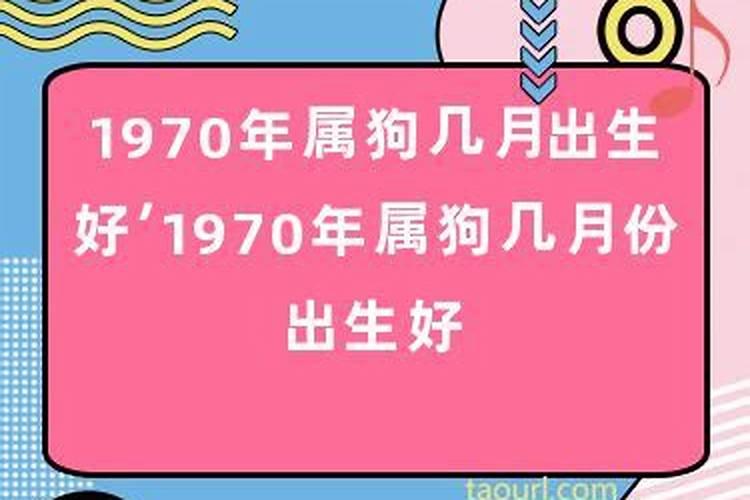 1970属狗8月出生的运程