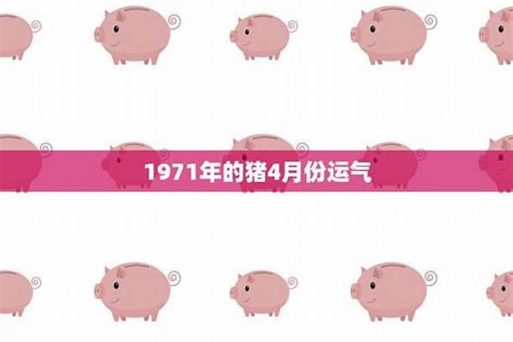 71四月猪今年运势