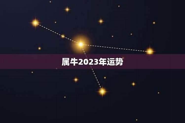 属牛人2023年农历十一月运程如何样