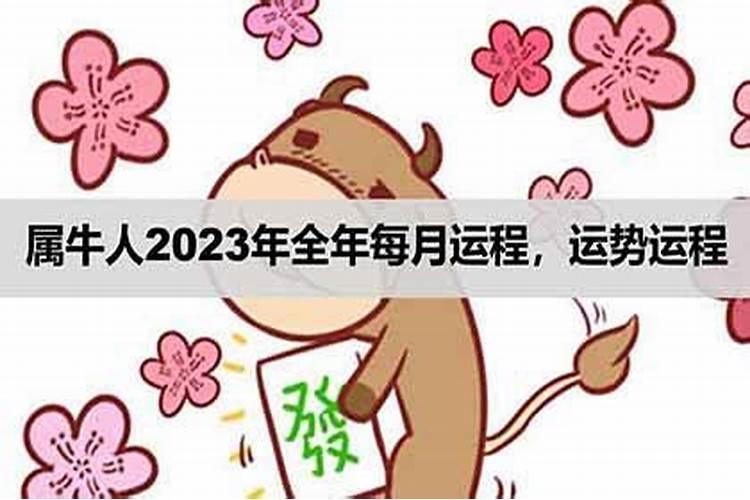 属牛人2023年农历十一月运程如何样